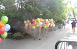 ballonnen voor huwelijk en openingen
