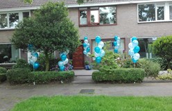 helium ballonnen voor huwelijk Purmerend