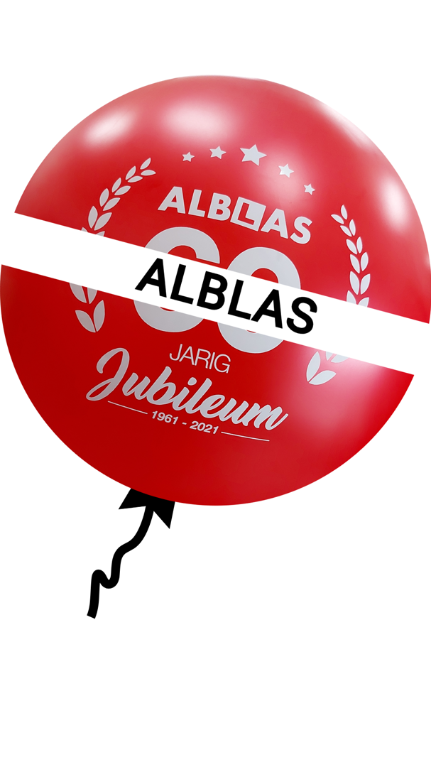 ballonnen voor Alblas rijschool
