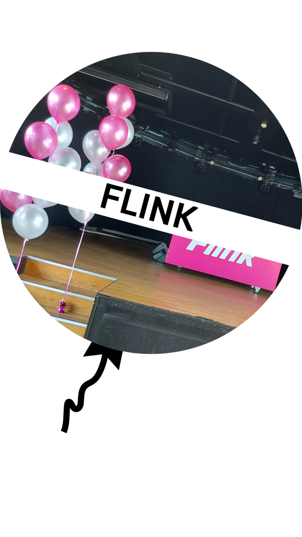 ballonnen voor FLINK