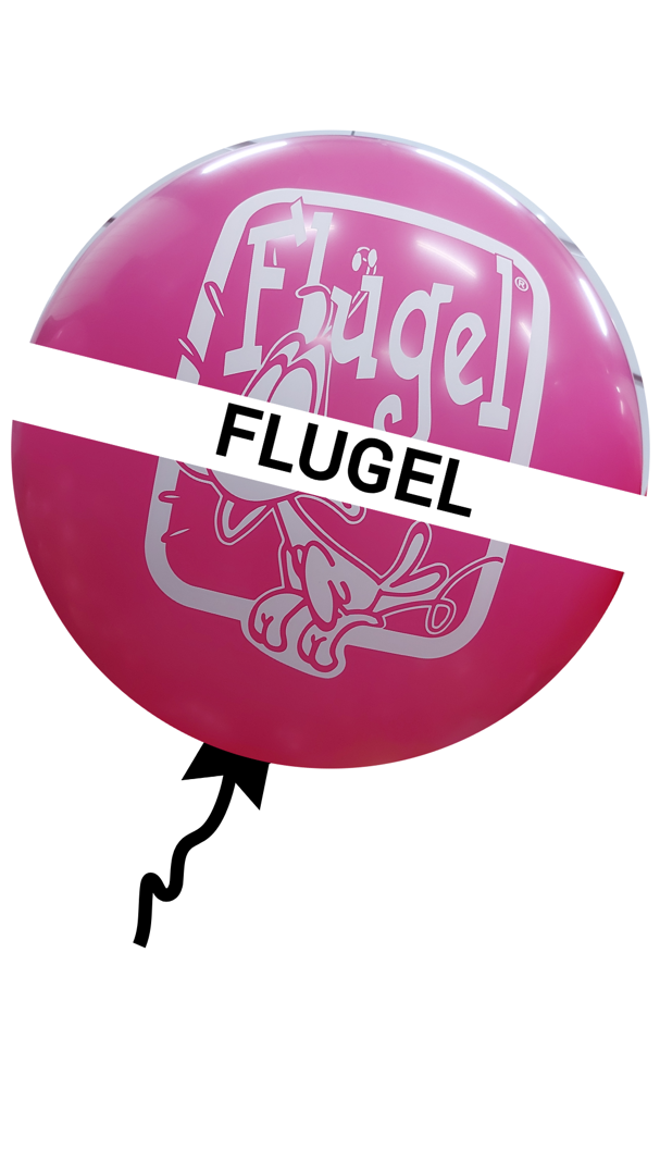 ballonnen voor Flugel